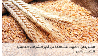 صورة توضيحية - الكويت خطط طوارئ خليجية لضمان تدفق المواد الغذائية