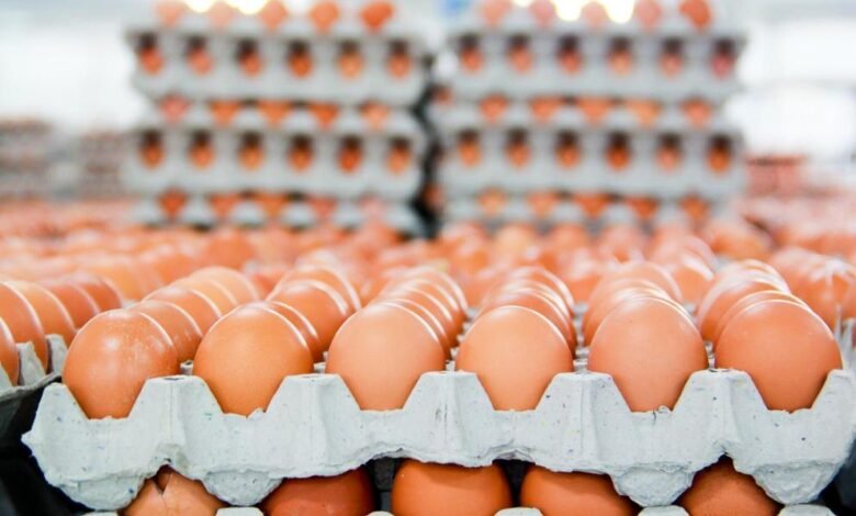 الكويت.. تغريم 12 جمعية تعاونية لتحكمها في عرض وبيع البيض