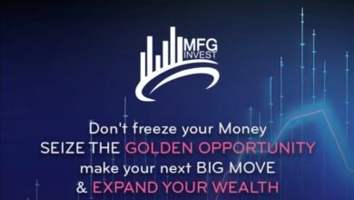 صورة توضيحية - نظرة عامة على شركة MFGinvest وخدماتها