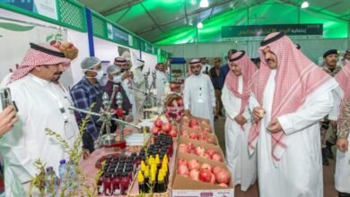 الزراعة التعاقدية تقلل مخاطر التسويق وترفع القيمة المضافة للمزارعين