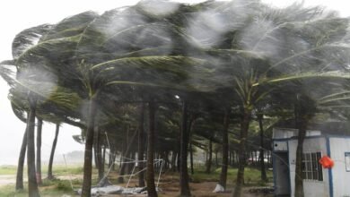 فوجيان تغلق 57 خطًا للعبّارات وتوقف مشروعات ساحلية تحسبًا لساوديل