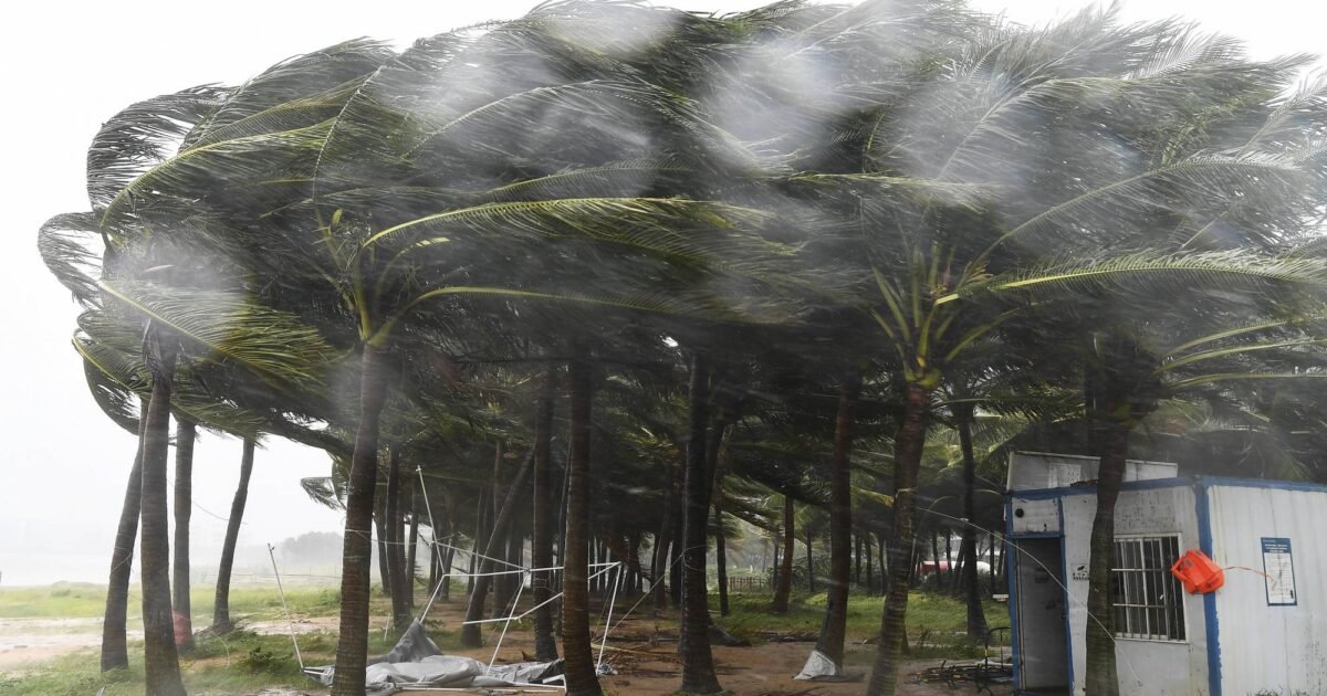 صورة مميزة: فوجيان تغلق 57 خطًا للعبّارات وتوقف مشروعات ساحلية تحسبًا لساوديل