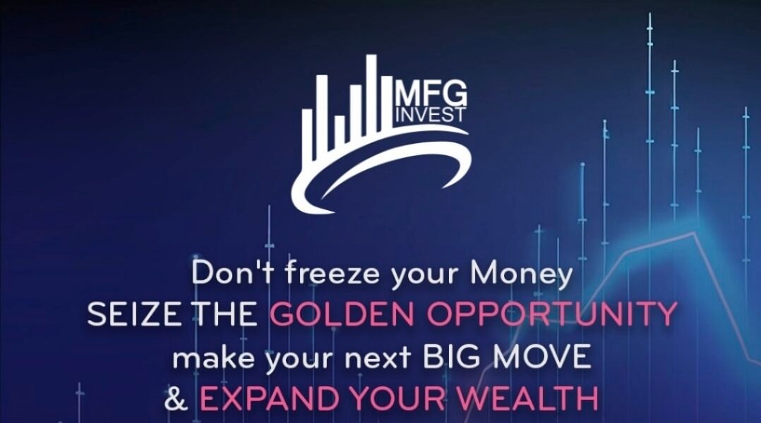 نظرة عامة على شركة MFGinvest وخدماتها