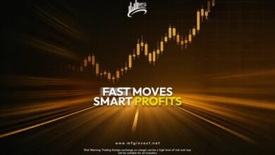 MFGINVEST تعتمد الابتكار نهجًا أساسيًا في استراتيجيتها الاستثمارية