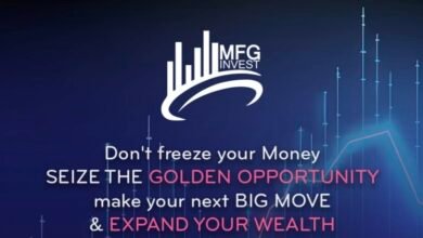 نظرة عامة على شركة MFGinvest وخدماتها