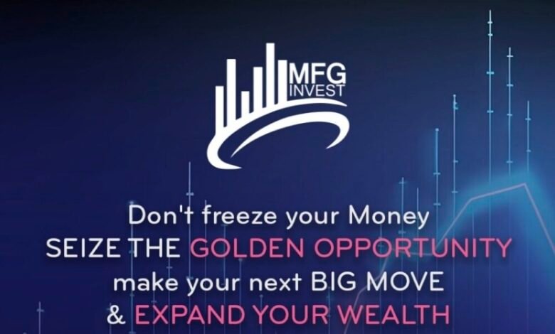 نظرة عامة على شركة MFGinvest وخدماتها